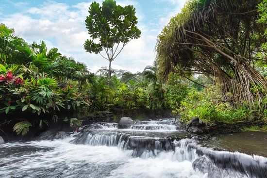 Source d'eau thermale Tabacon